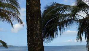 Study abroad Hawaii
