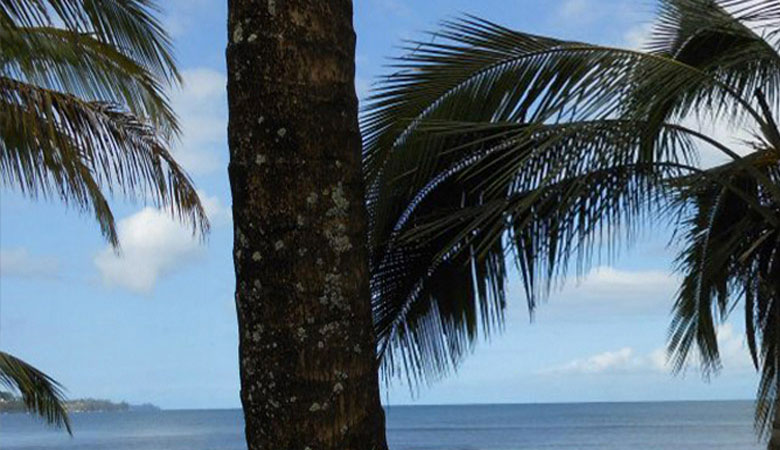 Study abroad Hawaii