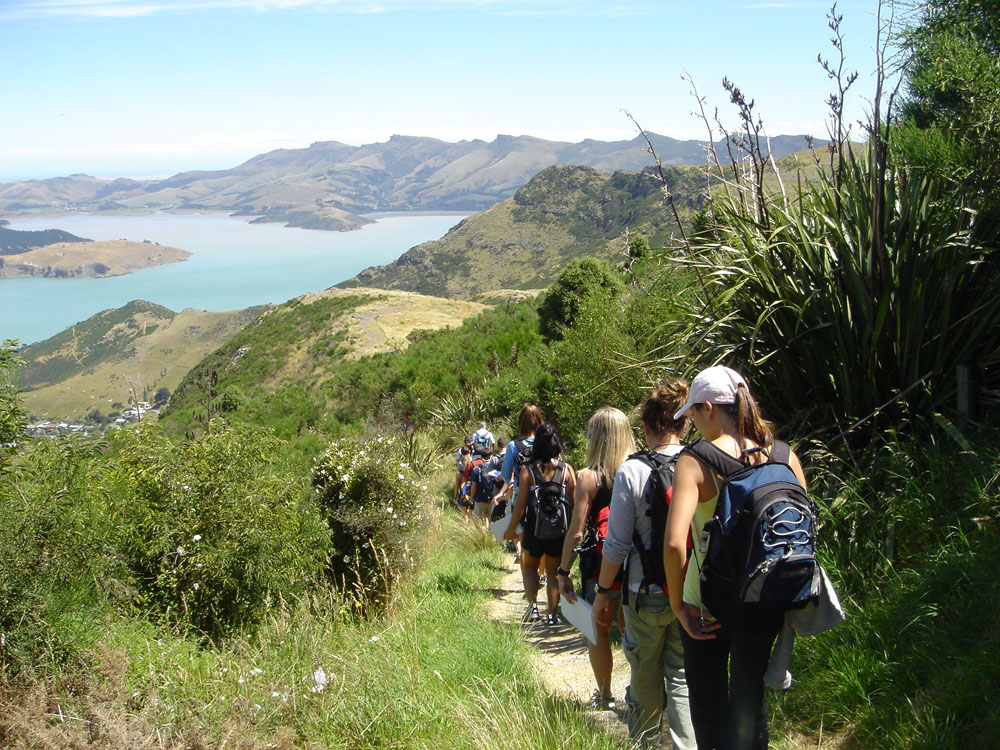 nz-akaroa-hike.jpg