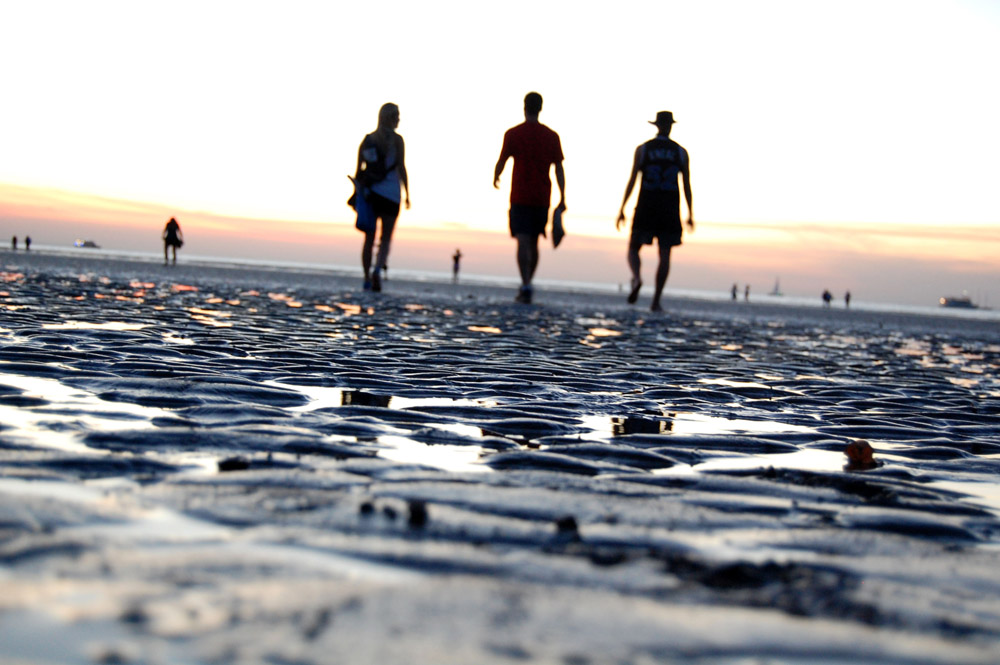 Silhouettes-at-Sunset-Spornhauer.jpg