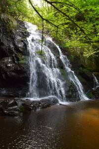 Watefall in Great Smoky Mountains National Park