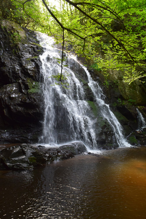 smokies_waterfall2-1.jpg