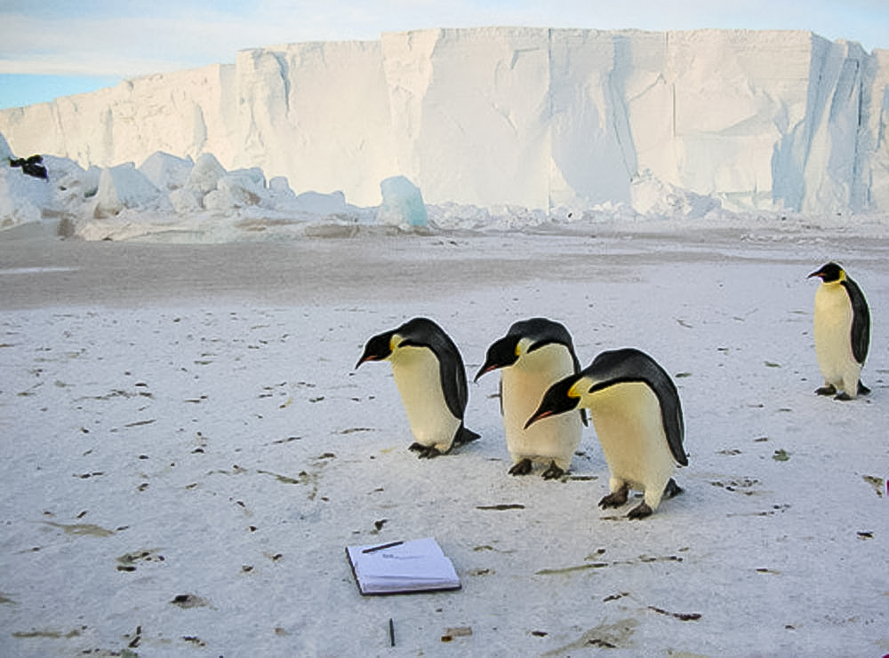 Antarctica-Box.jpg