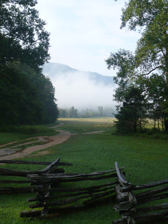 Smoky-Mountains-Summer-8.jpg