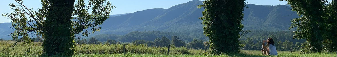 Smokies Cades Cove