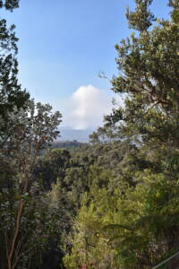 View of Volcano Steaming